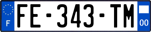 FE-343-TM