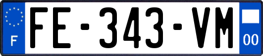 FE-343-VM