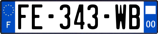 FE-343-WB