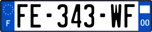 FE-343-WF