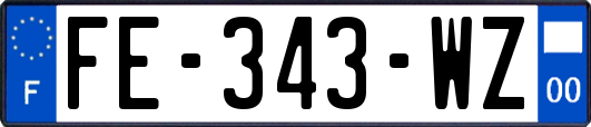 FE-343-WZ