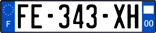 FE-343-XH
