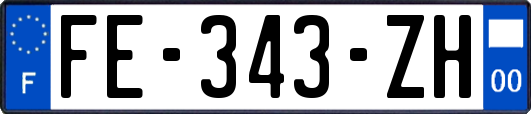 FE-343-ZH