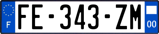 FE-343-ZM