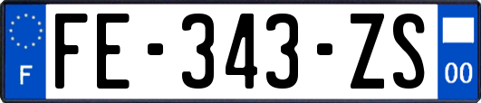 FE-343-ZS