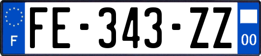 FE-343-ZZ