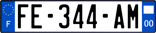 FE-344-AM