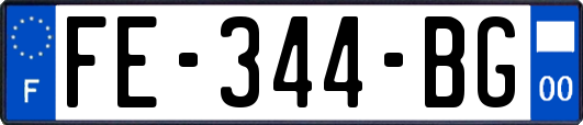 FE-344-BG