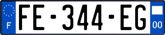 FE-344-EG