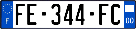 FE-344-FC