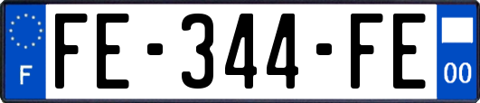 FE-344-FE