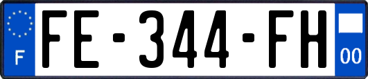 FE-344-FH