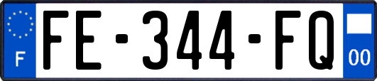 FE-344-FQ