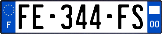 FE-344-FS