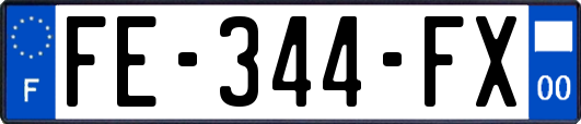 FE-344-FX
