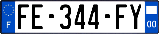 FE-344-FY