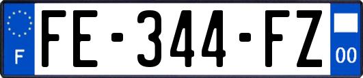 FE-344-FZ