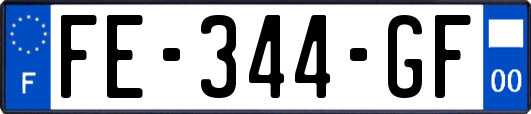 FE-344-GF