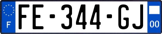FE-344-GJ