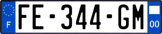 FE-344-GM
