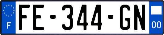 FE-344-GN