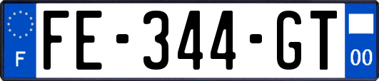 FE-344-GT