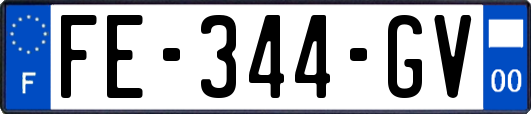 FE-344-GV