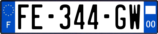 FE-344-GW