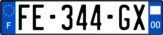 FE-344-GX