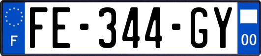 FE-344-GY
