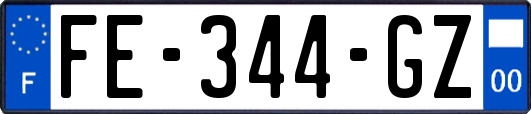 FE-344-GZ