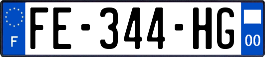 FE-344-HG