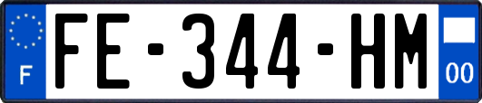 FE-344-HM