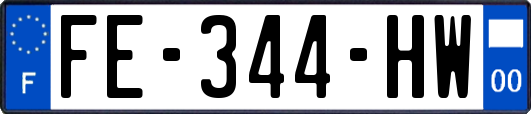 FE-344-HW
