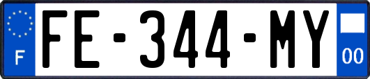 FE-344-MY
