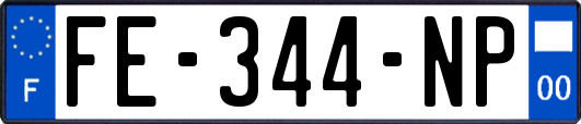 FE-344-NP