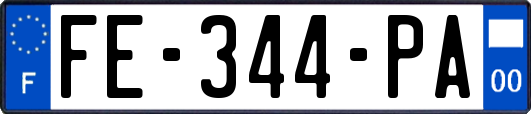 FE-344-PA