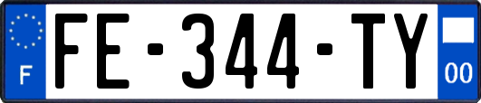 FE-344-TY