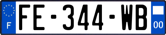 FE-344-WB
