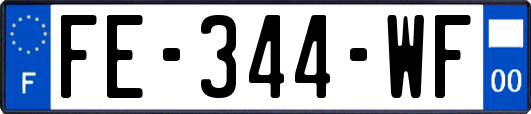 FE-344-WF