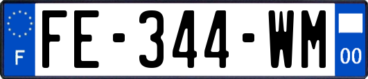 FE-344-WM