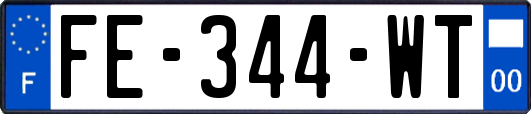 FE-344-WT