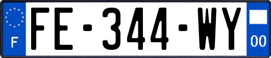 FE-344-WY