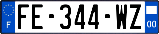 FE-344-WZ