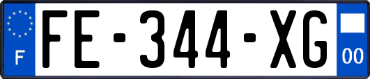 FE-344-XG