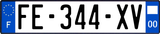 FE-344-XV