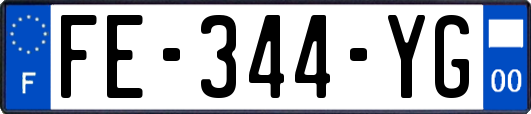FE-344-YG