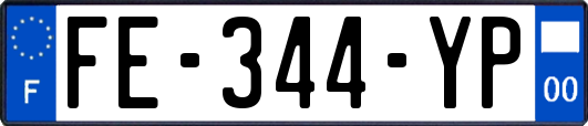 FE-344-YP