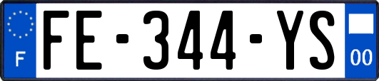 FE-344-YS