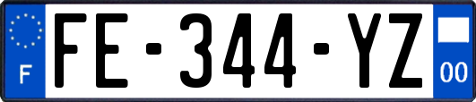 FE-344-YZ